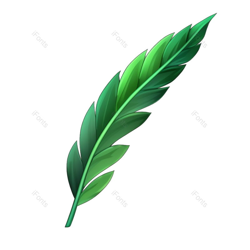 叶子图片,纹理元素,清新PNG,夏天免抠素材